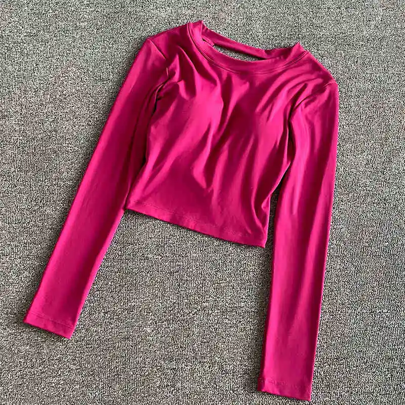 American hollow-out backless sexy girl short base top for women autumn with chest pad high-waisted bare midriff long-sleeved T-s
American hollow-out backless sexy girl short base top for women autumn with chest pad high-waisted bare midriff long-sleeved T-s