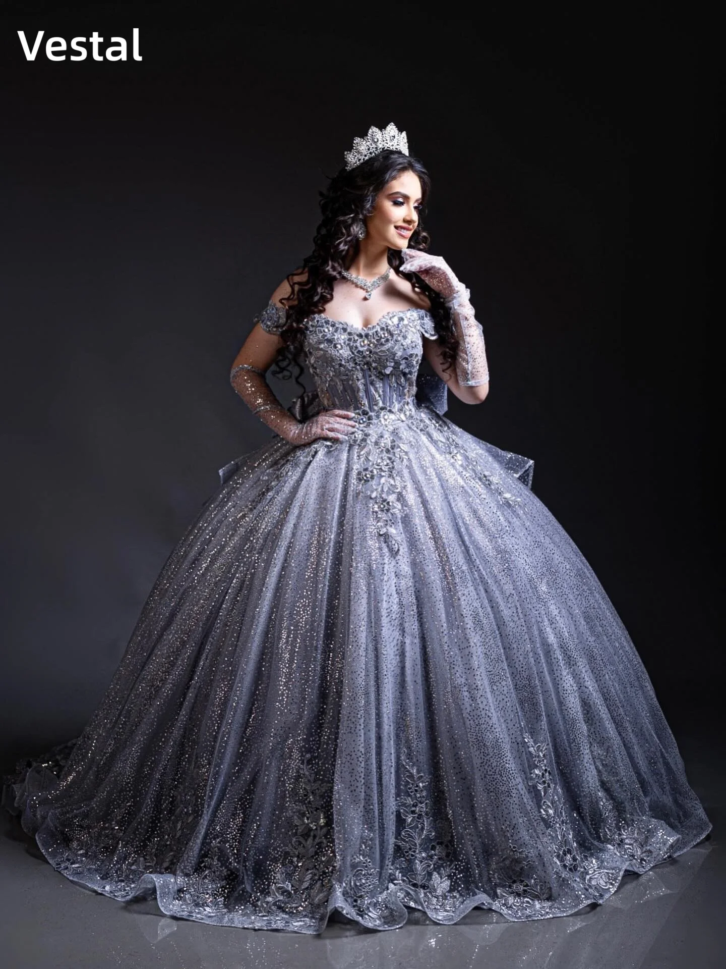 Silver Quinceanera Dress for 15th 3D Floral Off Shoulder Ball Gown Glitter Tulle Birthday Sweet 16 Evening Gown Customized
Silver Quinceanera Dress for 15th 3D Floral Off Shoulder Ball Gown Glitter Tulle Birthday Sweet 16 Evening Gown Customized