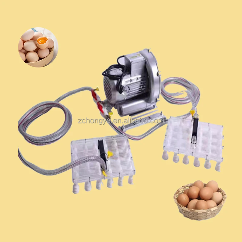 Egg Lifting Electric Hand-Held Vacuum Egg Sucker
Egg Lifting Electric Hand-Held Vacuum Egg Sucker