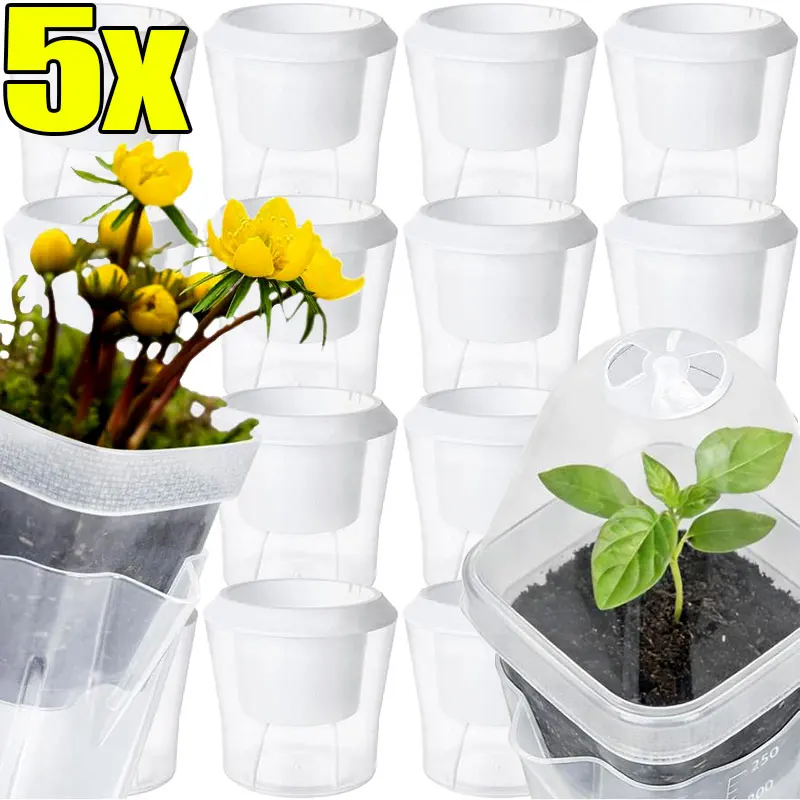 Прозрачный контейнер для выращивания рассады с автоматическим поливом: наблюдение за ростом корней, легкое наполнение, воздухопроницаемость, декор для дома и офиса
Прозрачный контейнер для выращивания рассады с автоматическим поливом: наблюдение за ростом корней, легкое наполнение, воздухопроницаемость, декор для дома и офиса