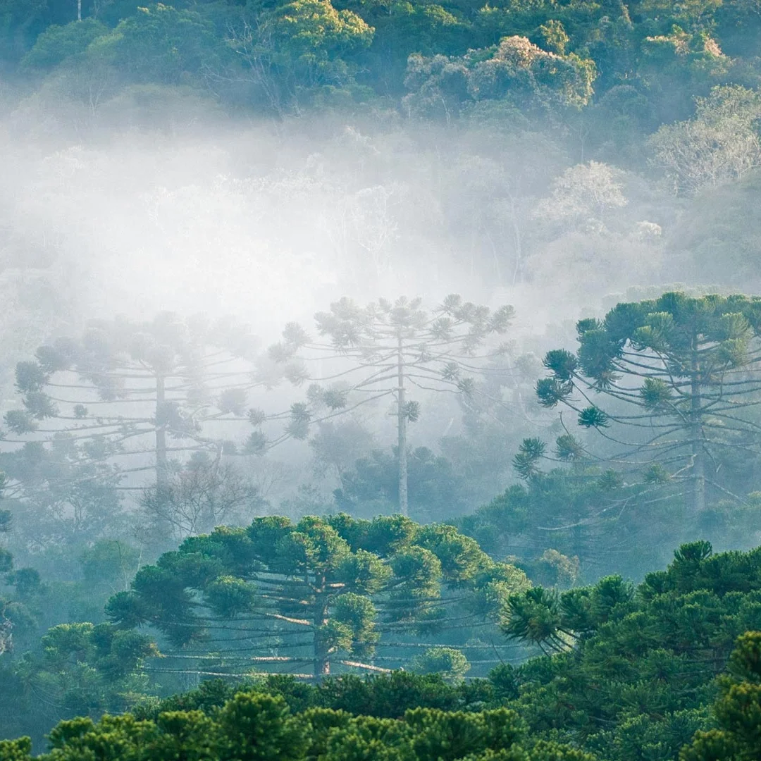 Цифровой кластер приборной панели автомобиля для Porsche Cayenne 2011-2017, ЖК-дисплей приборной панели, дисплей спидометра, автоматический измерительный экран, головное устройство
Цифровой кластер приборной панели автомобиля для Porsche Cayenne 2011-2017, ЖК-дисплей приборной панели, дисплей спидометра, автоматический измерительный экран, головное устройство