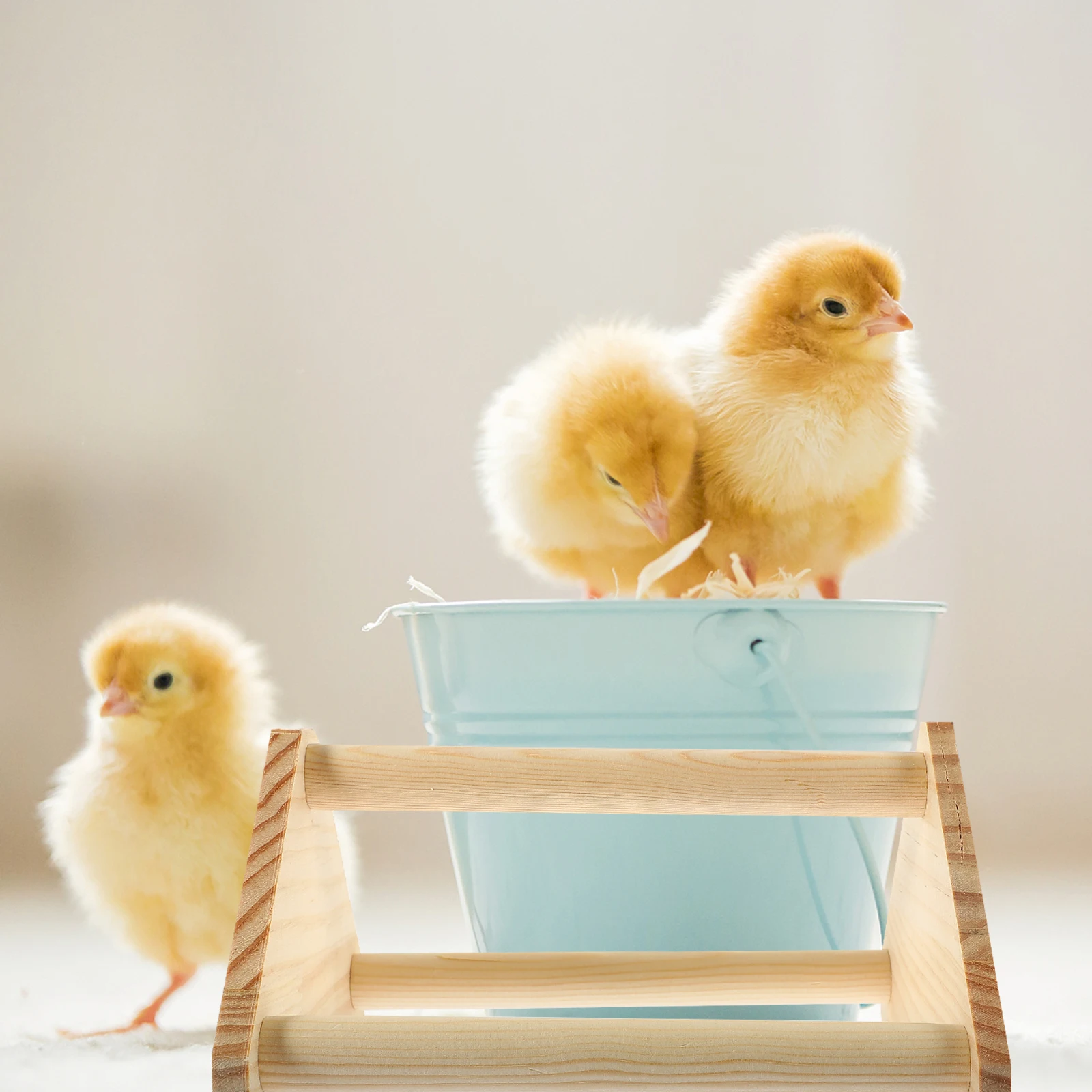 Bird Perch Stand Standing Frame Birdcage Birds Training Platform Play Parrot Stands Office
Bird Perch Stand Standing Frame Birdcage Birds Training Platform Play Parrot Stands Office
