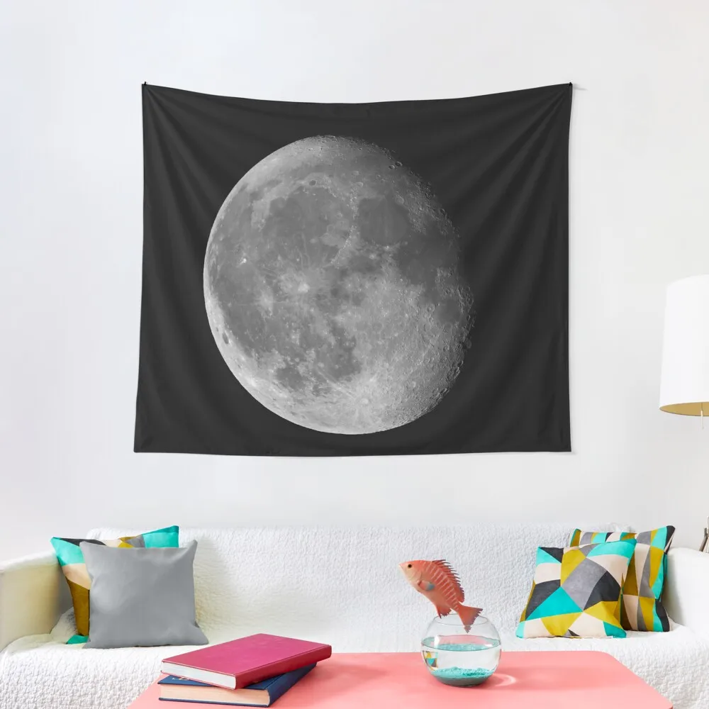 Moon Waning Gibbous 87% phase against black night sky high resolution image Tapestry Mushroom Decor For Room Tapestry
Moon Waning Gibbous 87% phase against black night sky high resolution image Tapestry Mushroom Decor For Room Tapestry