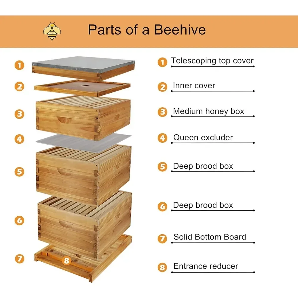 10-Frame Langstroth Bee Hive Complete Bee Hive Kit Beeswax Coated Include Beehive Frames and Waxed Foundation Sheets for Beekeep
10-Frame Langstroth Bee Hive Complete Bee Hive Kit Beeswax Coated Include Beehive Frames and Waxed Foundation Sheets for Beekeep
