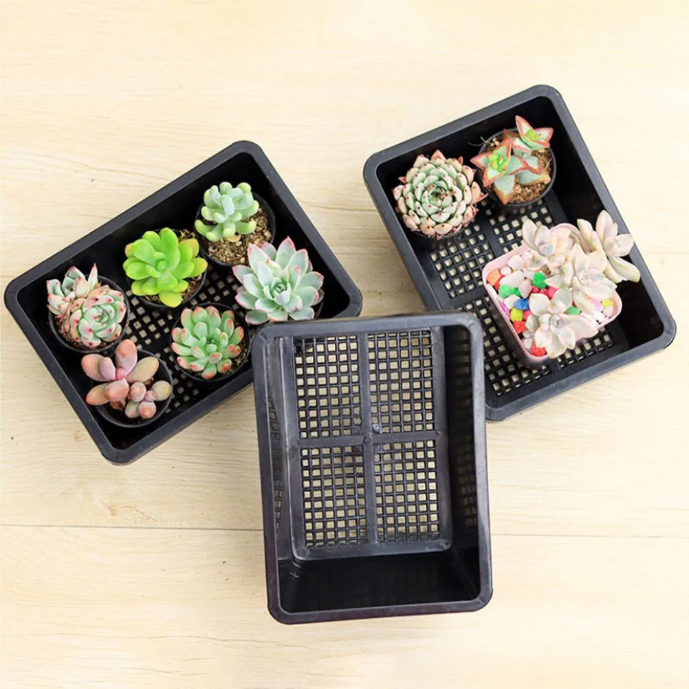 5 Pcs Plants Nursery Pot PP Material Small Flower Pots Seedlings Growth Breathable Draining Plant Starting Trays
5 Pcs Plants Nursery Pot PP Material Small Flower Pots Seedlings Growth Breathable Draining Plant Starting Trays