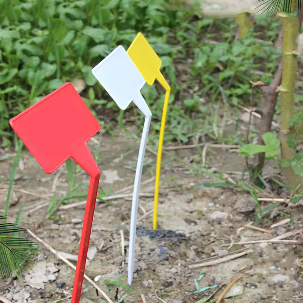 10Pcs Plastic Plant Labels Markers Insert Bow Garden Tag Nursery Flower Soil Marker Tool Plastic Signboards Pvc Waterproof
10Pcs Plastic Plant Labels Markers Insert Bow Garden Tag Nursery Flower Soil Marker Tool Plastic Signboards Pvc Waterproof