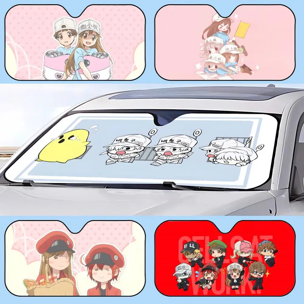 Cells at Work! Sun Visor Retractable Car Sun Visor Anti-Glare UV Protection Front Window Sunshade
Cells at Work! Sun Visor Retractable Car Sun Visor Anti-Glare UV Protection Front Window Sunshade