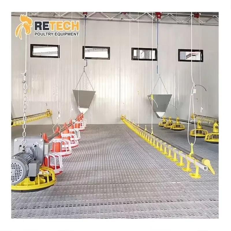 Automatic Chicken Pan Feeding Line Equipment for Poultry Farm Floor Raising System
Automatic Chicken Pan Feeding Line Equipment for Poultry Farm Floor Raising System