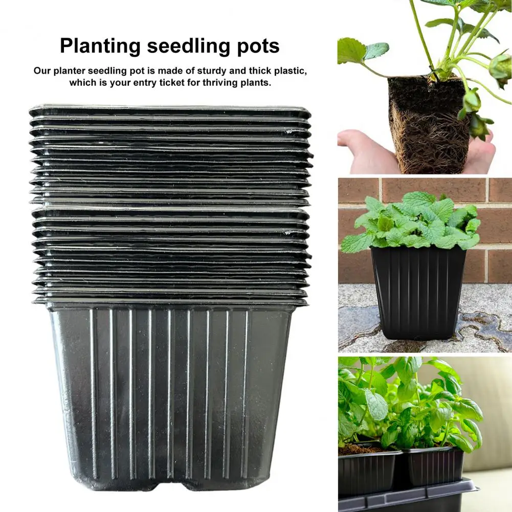 100Pcs Square Nursery Pots Eco-friendly Reusable Space-saving Vegetable Plant Transplant Starter Pots
100Pcs Square Nursery Pots Eco-friendly Reusable Space-saving Vegetable Plant Transplant Starter Pots