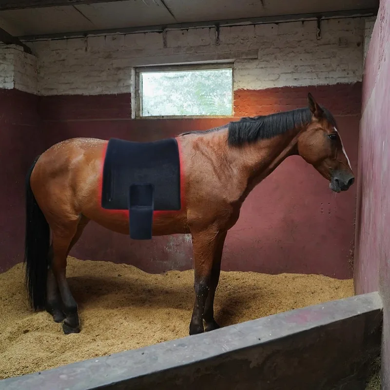660/850nm Flexible Back Led Red Light Infrared Therapy Pad Waist Belt for Horse Pain Relief 
660/850nm Flexible Back Led Red Light Infrared Therapy Pad Waist Belt for Horse Pain Relief