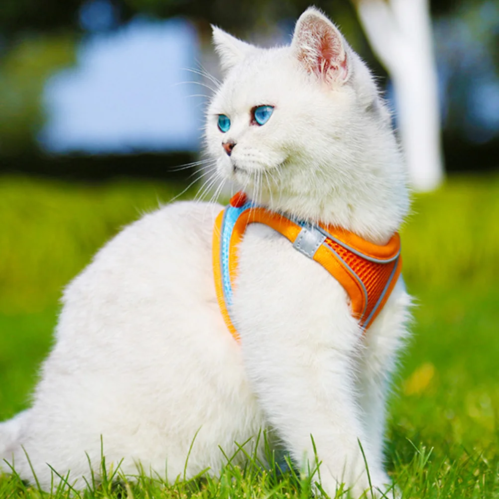 Pet Vest Leash Breathable Puppy Harness Reflective Dog Cat Outdoor Walking Supply Pet Vest Leash Cat Costume Dog Supply
Pet Vest Leash Breathable Puppy Harness Reflective Dog Cat Outdoor Walking Supply Pet Vest Leash Cat Costume Dog Supply