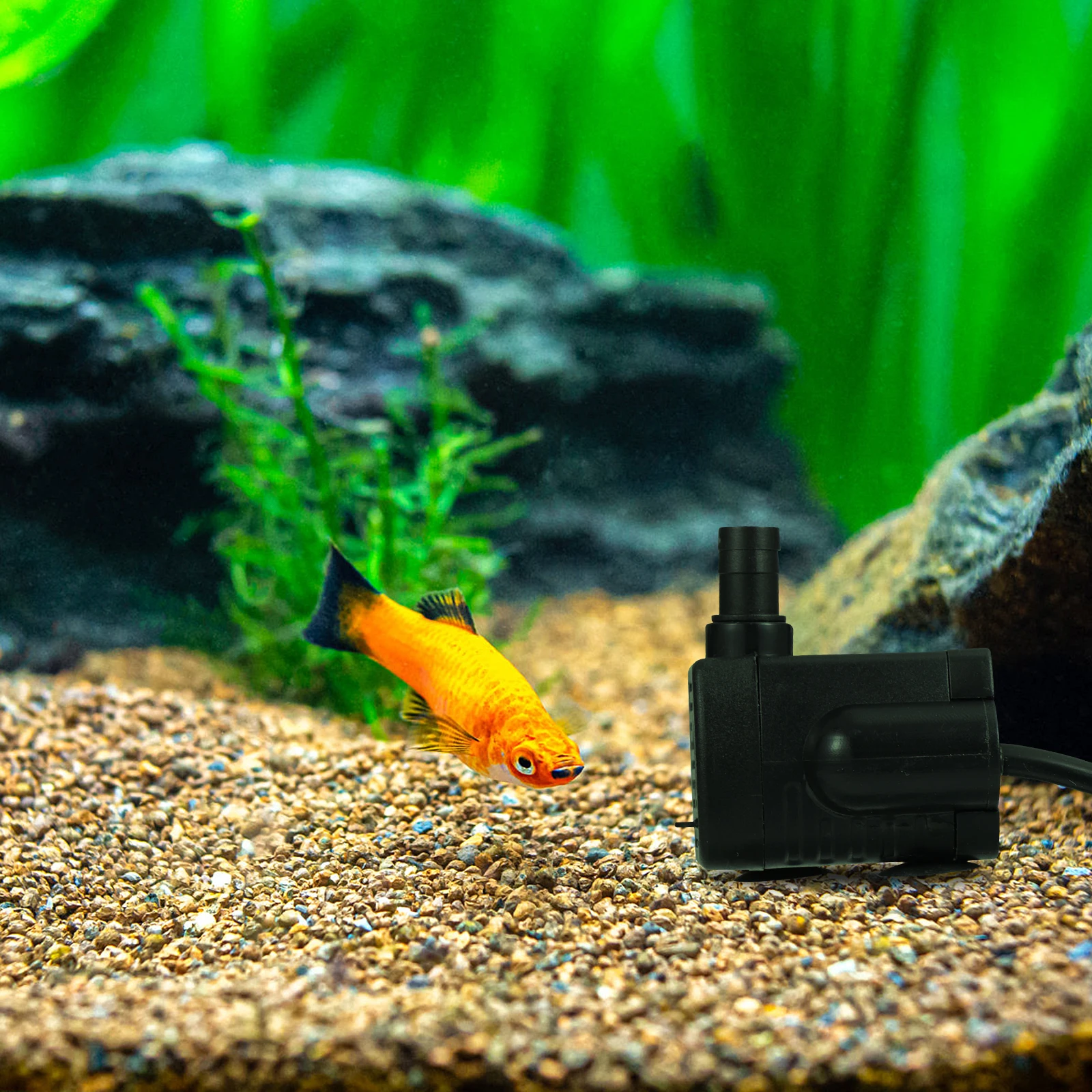 Submersible Water Pump 220V 220lh Adjustable Flow for Aquarium Fountain Pond Fish Tank Acid Alkali Resistant 
Submersible Water Pump 220V 220lh Adjustable Flow for Aquarium Fountain Pond Fish Tank Acid Alkali Resistant