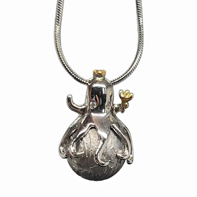 4.9g Meteorite Pendant Natural Iron Meteorite Pendant Supports Customized Collectibles - LK306
4.9g Meteorite Pendant Natural Iron Meteorite Pendant Supports Customized Collectibles - LK306