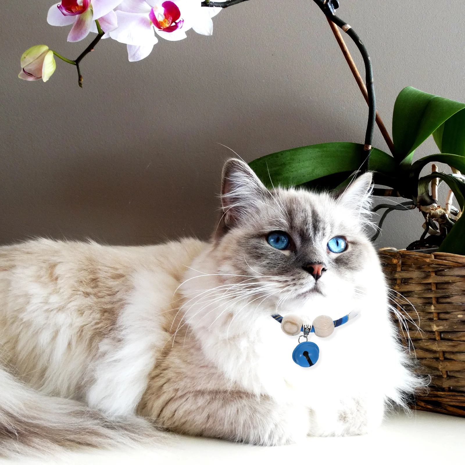Pet Collar Bowtie Boy Kitten Breakaway Collars Bell Blue Adjustable Cotton Cat Collar Bead Blessing Pendant
Pet Collar Bowtie Boy Kitten Breakaway Collars Bell Blue Adjustable Cotton Cat Collar Bead Blessing Pendant