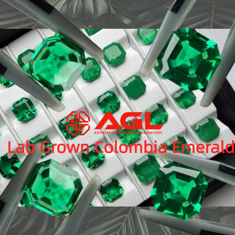 Asscher Shape Lab Grown Columbia Emerald Hydrothermal Inclusion Crack Green Gemstone for Jewelry Making Material Selectable AGL
Asscher Shape Lab Grown Columbia Emerald Hydrothermal Inclusion Crack Green Gemstone for Jewelry Making Material Selectable AGL