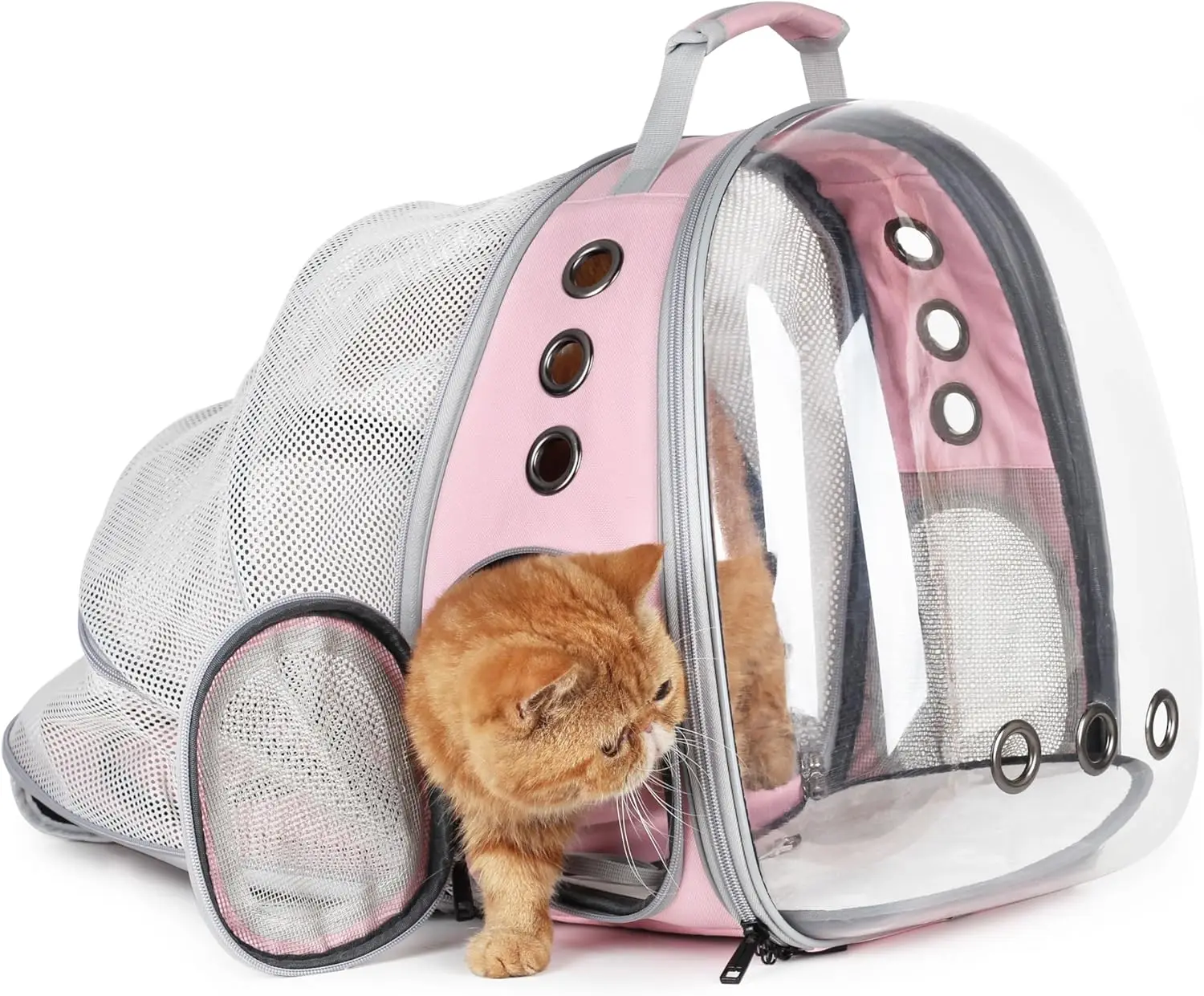 Cat Carrier Backpack, Expandable Bubble Pet Carrier for Cats and Small Dogs, Airline Approved Travel Backpack for Hiking, Wal
Cat Carrier Backpack, Expandable Bubble Pet Carrier for Cats and Small Dogs, Airline Approved Travel Backpack for Hiking, Wal