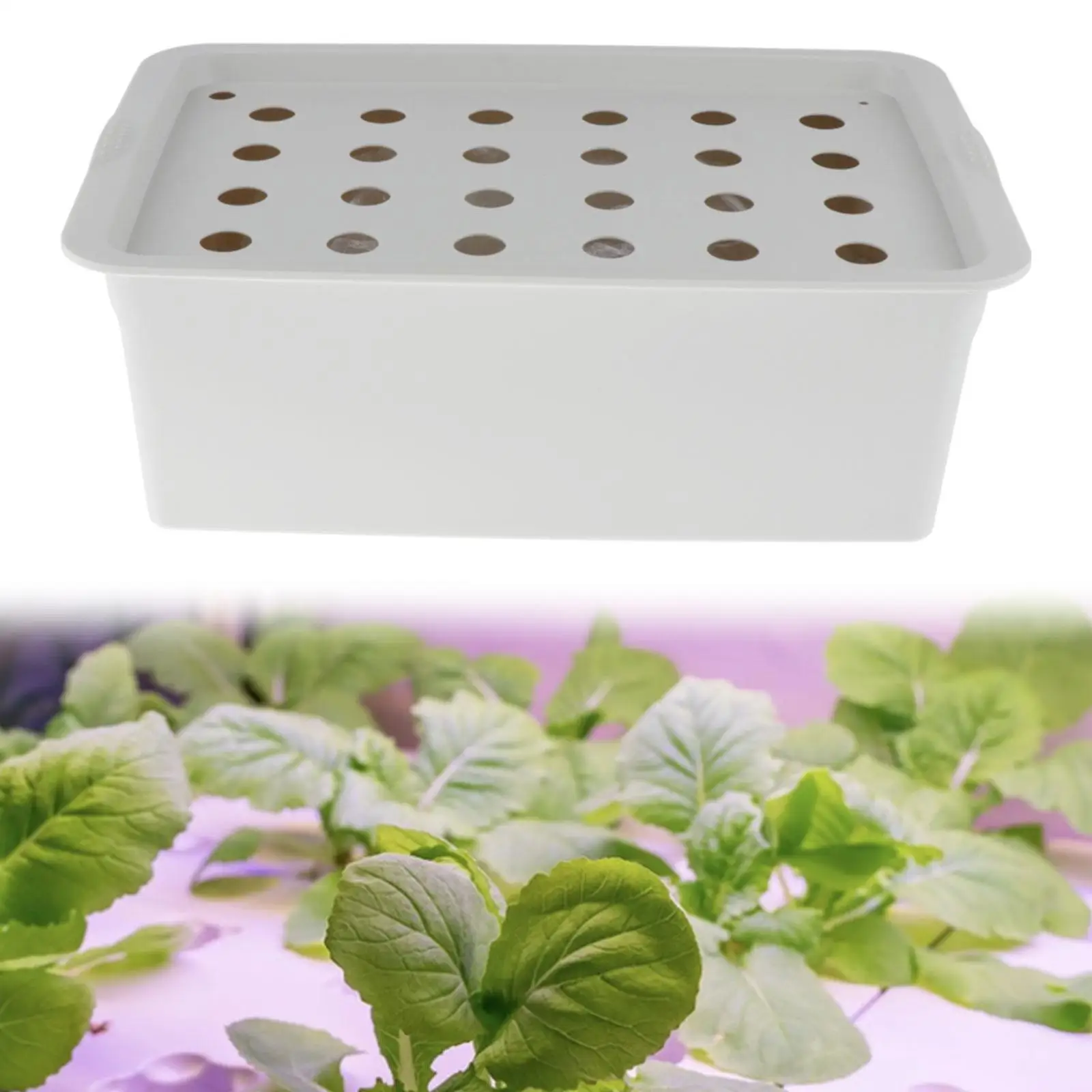 Hydroponics Growing System 24 Net Pots Plastic Indoor Planter Equipment with Basket Sponge for Leafy Greens
Hydroponics Growing System 24 Net Pots Plastic Indoor Planter Equipment with Basket Sponge for Leafy Greens