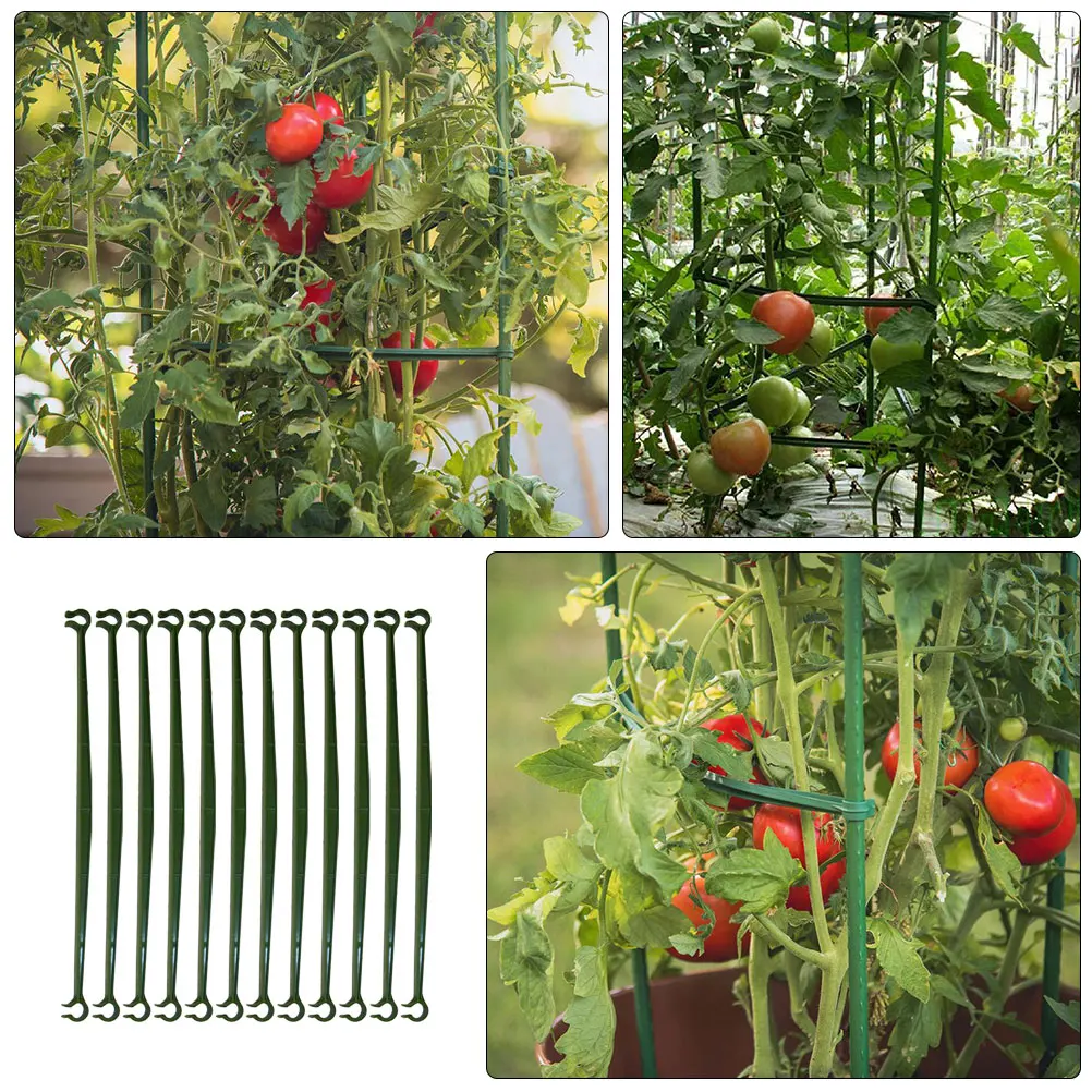 12pcs Planting Rack Connector Garden Stakes Tomato Cages Durable Plastic Connecting Rod Stake Arms Trellis Support
12pcs Planting Rack Connector Garden Stakes Tomato Cages Durable Plastic Connecting Rod Stake Arms Trellis Support