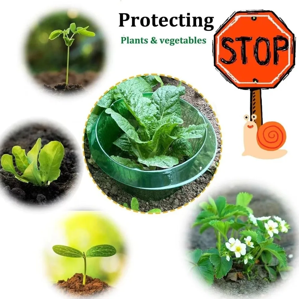 10PCS Plastic Vegetable Slug Collars Thickened Round Plant Protection Covers No Light Blocking Insect-Proof
10PCS Plastic Vegetable Slug Collars Thickened Round Plant Protection Covers No Light Blocking Insect-Proof