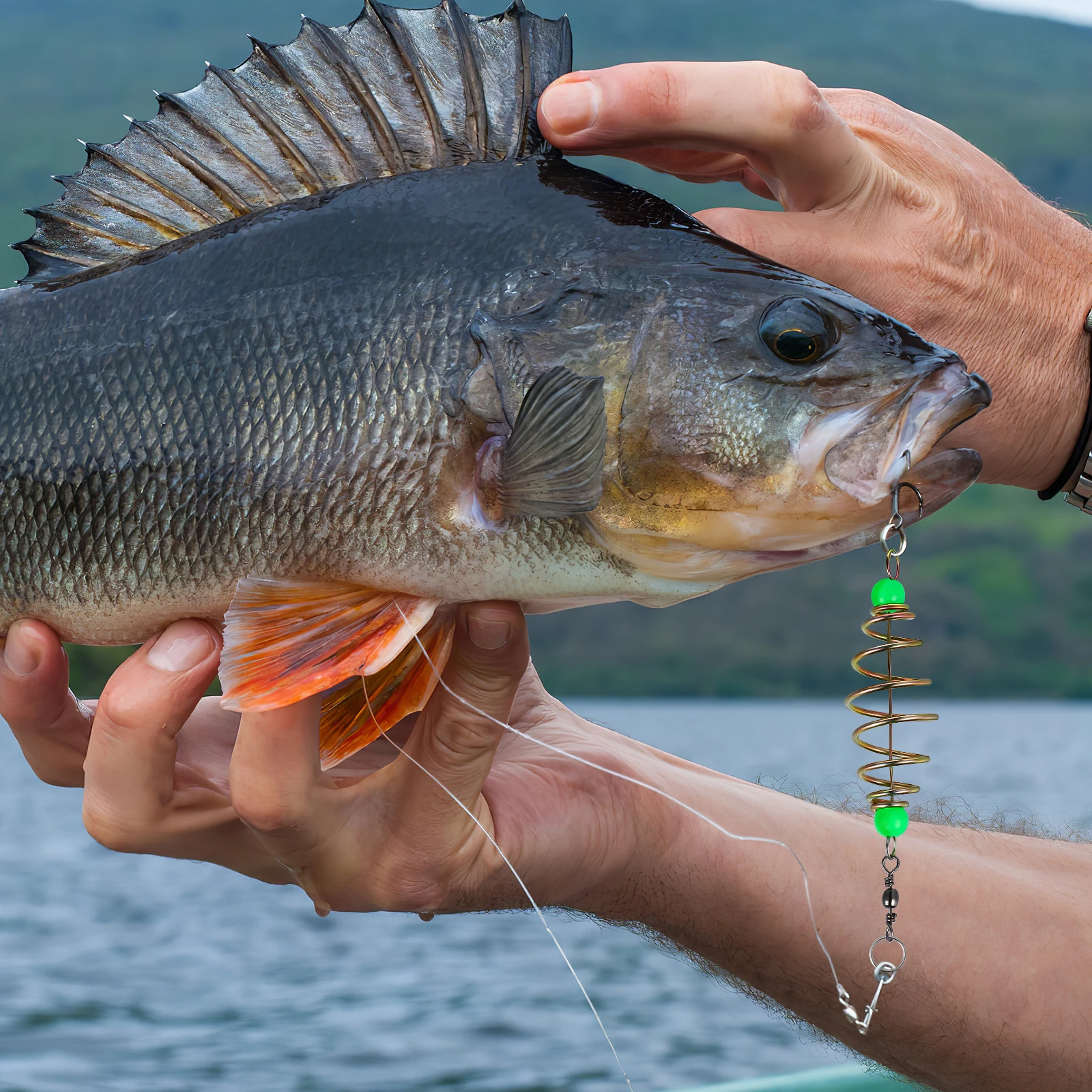 12 Pcs Luminous Bead Fishing Bait Cage Spring Holder Olive Glow Dark Carp Feeder Traps Bait Cages Efficient Accessories
12 Pcs Luminous Bead Fishing Bait Cage Spring Holder Olive Glow Dark Carp Feeder Traps Bait Cages Efficient Accessories