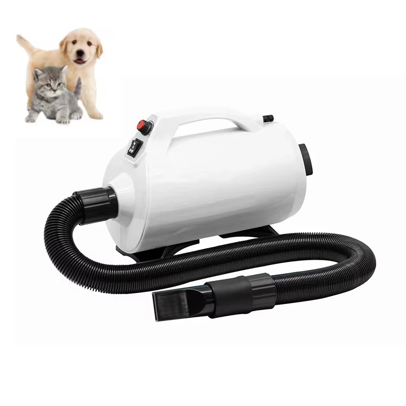 2600W 2800W Portable Pet Hair Dryer Machine Wholesale Pet Grooming Dryer For Cats Dogs Features Blower Dryer Water
2600W 2800W Portable Pet Hair Dryer Machine Wholesale Pet Grooming Dryer For Cats Dogs Features Blower Dryer Water