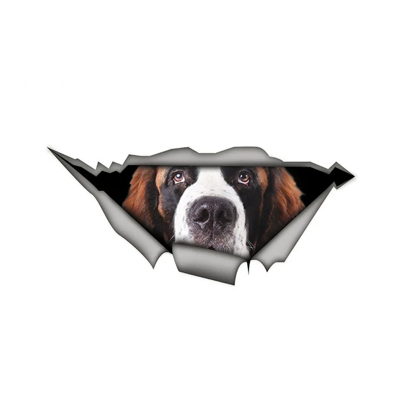Saint Bernard Car Sticker Funny Pet Decal Waterproof Car Styling Dog Stickers Vinyl Decal Decoration 15cm x 6cm
Saint Bernard Car Sticker Funny Pet Decal Waterproof Car Styling Dog Stickers Vinyl Decal Decoration 15cm x 6cm