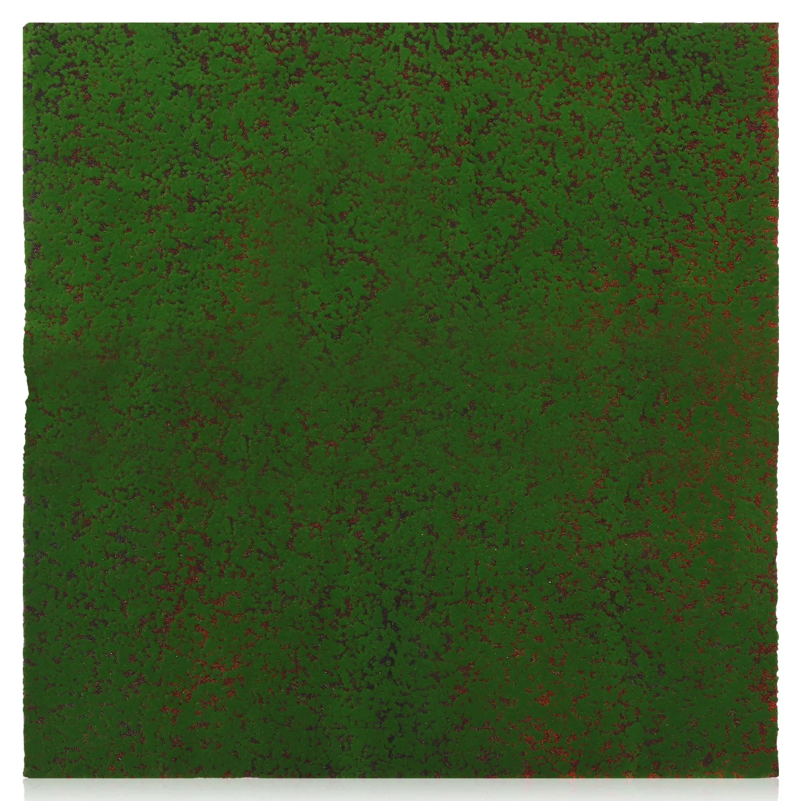 Simulated Moss Turf Green Grass Rug Indoor Fake House Plants Faux Artificial Bedding
Simulated Moss Turf Green Grass Rug Indoor Fake House Plants Faux Artificial Bedding
