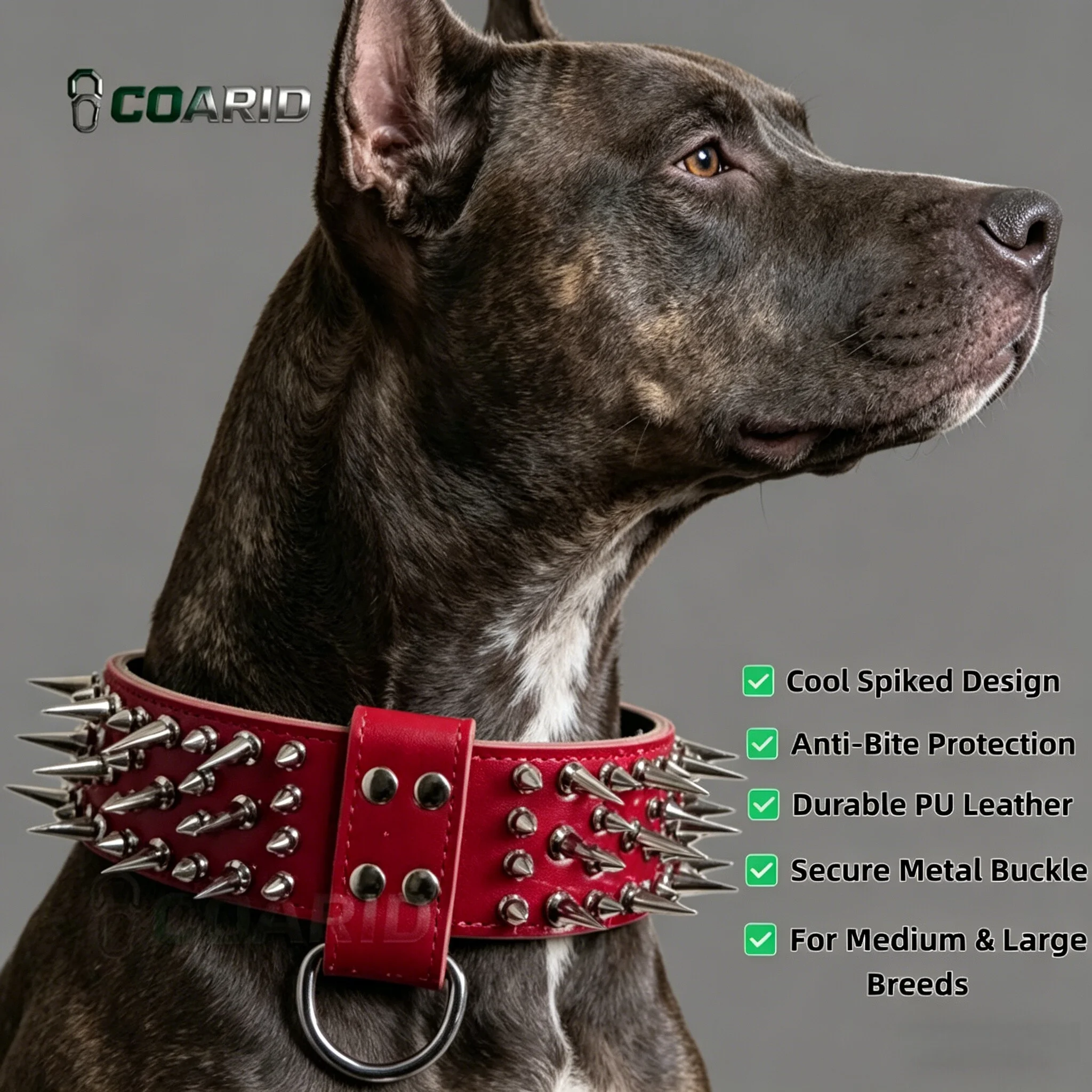 Rivet Pointed Pet Collar Red Leather, Adjustable Heavy Duty for Medium Large Dogs, Outdoor Training Walking No Pull
Rivet Pointed Pet Collar Red Leather, Adjustable Heavy Duty for Medium Large Dogs, Outdoor Training Walking No Pull