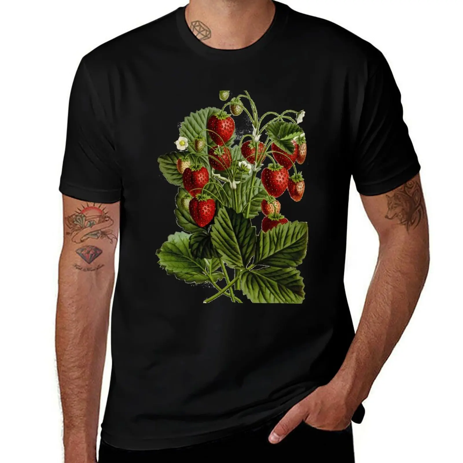 Vintage - TIR-Strawberries T-Shirt man t shirt baggy shirts summer 2025 slim fit t shirts for men
Vintage - TIR-Strawberries T-Shirt man t shirt baggy shirts summer 2025 slim fit t shirts for men