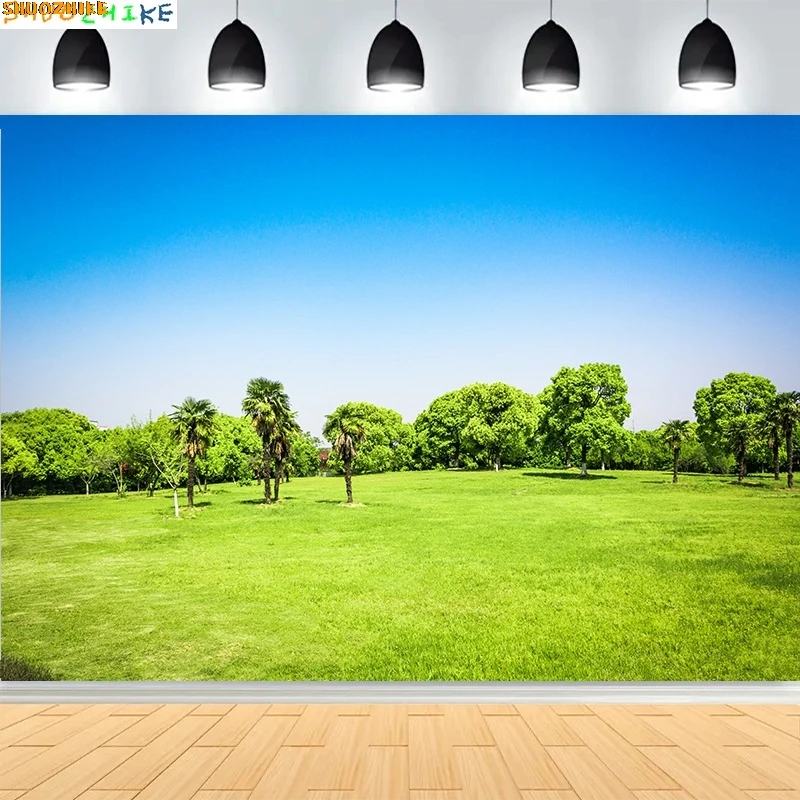 Tranquil City Park Blue Sky Photography Backdrops Grass Landscape Bathed Morning Sunlight Garden Photo Background CG-03
Tranquil City Park Blue Sky Photography Backdrops Grass Landscape Bathed Morning Sunlight Garden Photo Background CG-03