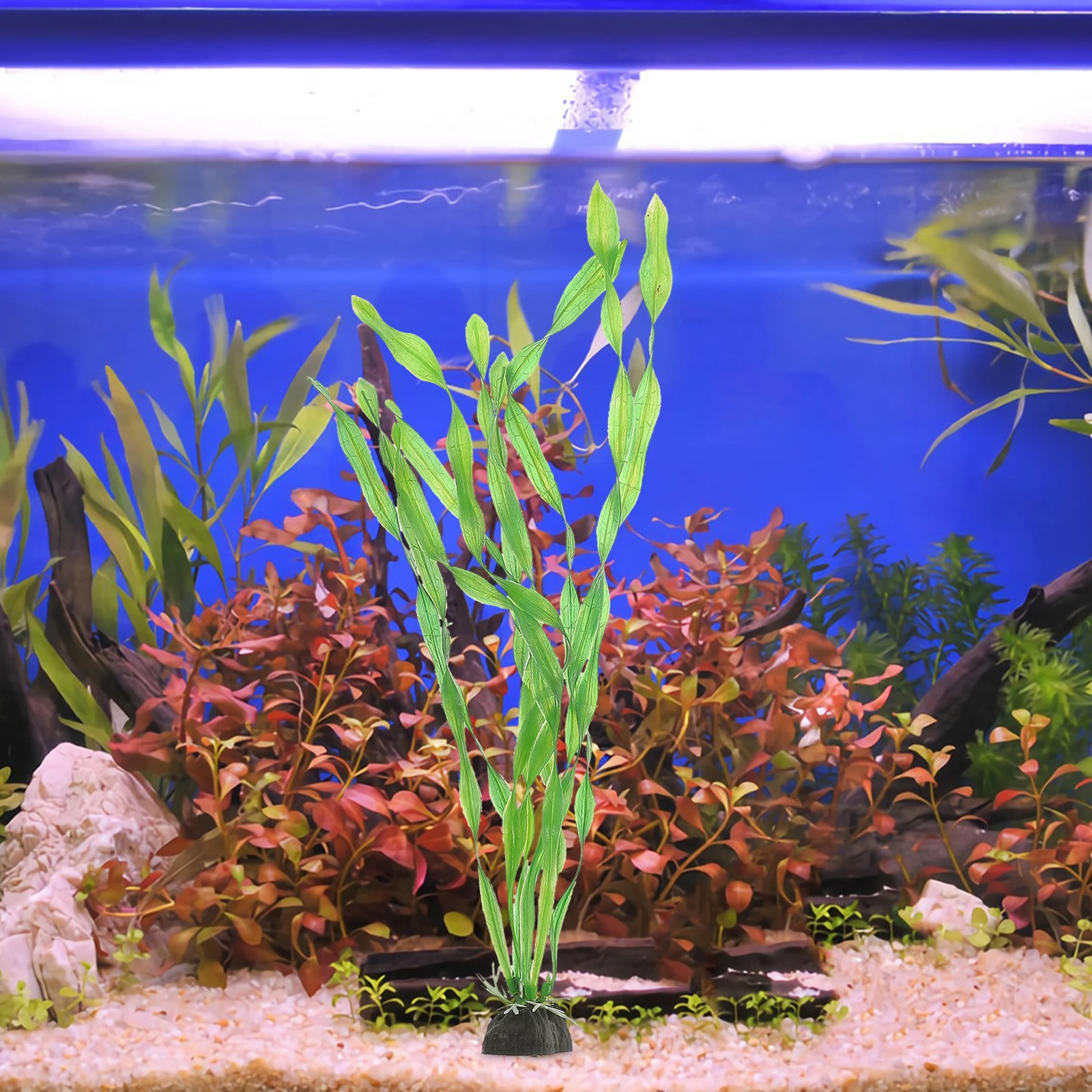 Artificial Plants Aquatic Decoration Aquarium Fish Tank Water Accessories Seaweed
Artificial Plants Aquatic Decoration Aquarium Fish Tank Water Accessories Seaweed
