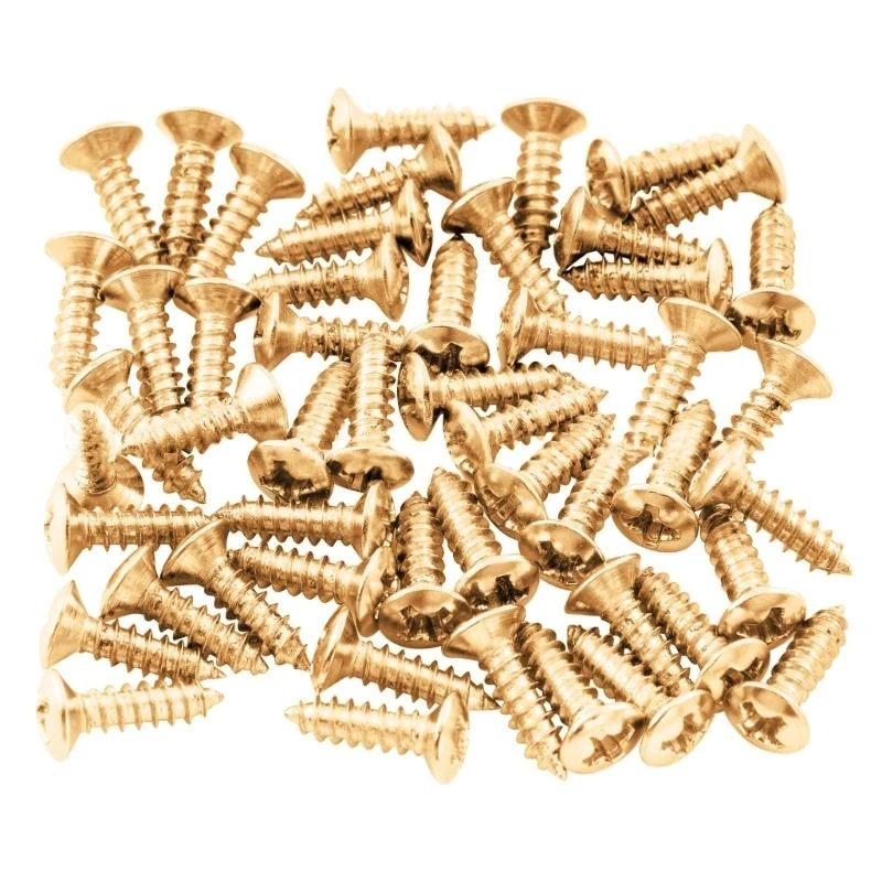 50Piece Electric Guitar Bass Pickguard Screw for Installation Reliable Fasteners
50Piece Electric Guitar Bass Pickguard Screw for Installation Reliable Fasteners