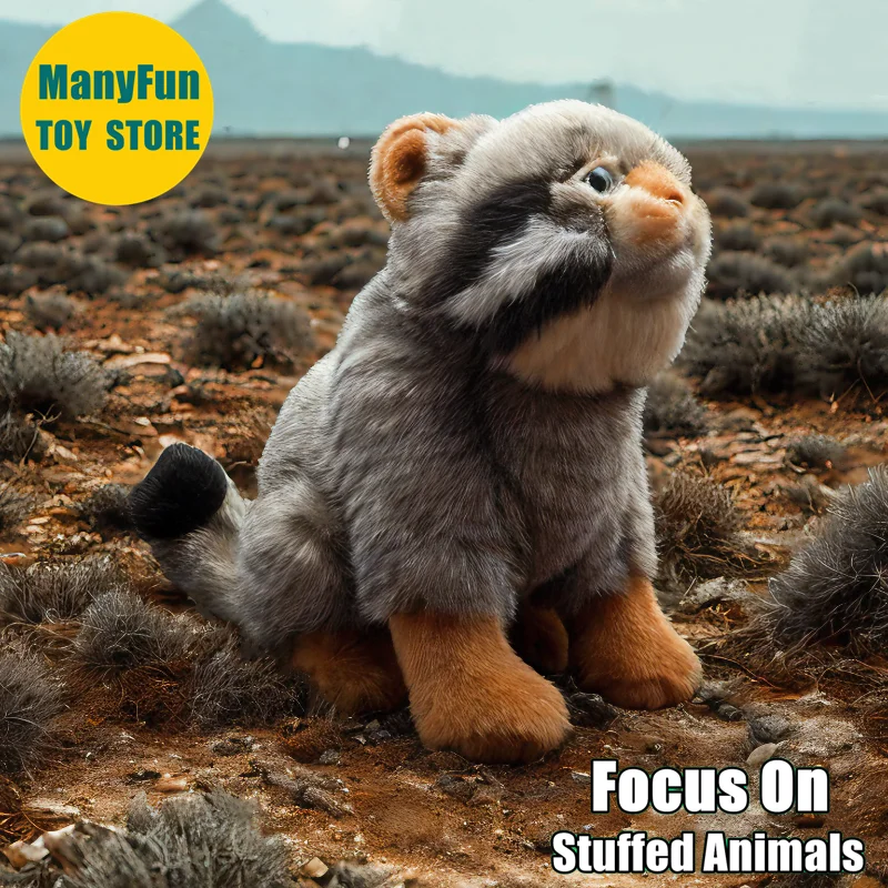 Pallas's Cat Высококачественная степная кошка, милые плюшевые игрушки Manul, реалистичные животные, имитация мягкой куклы, кавайные игрушки, подарки
Pallas's Cat Высококачественная степная кошка, милые плюшевые игрушки Manul, реалистичные животные, имитация мягкой куклы, кавайные игрушки, подарки