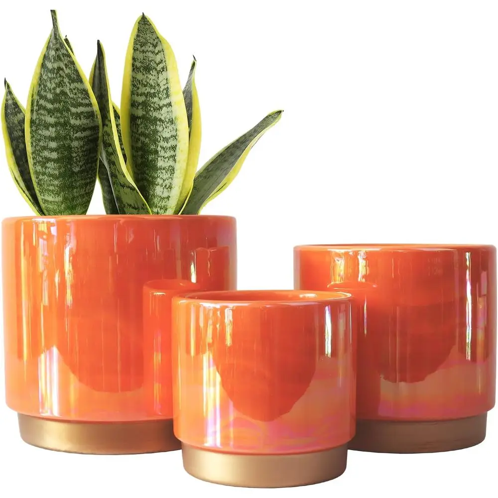 Gepege Ceic Indoor Pots or Plants, Rainbow Pearl Glaze Planter with Drainage Hole, 6.0 inch+5.0 Inch+4.0 Inch. Orchid lower Pots
Gepege Ceic Indoor Pots or Plants, Rainbow Pearl Glaze Planter with Drainage Hole, 6.0 inch+5.0 Inch+4.0 Inch. Orchid lower Pots