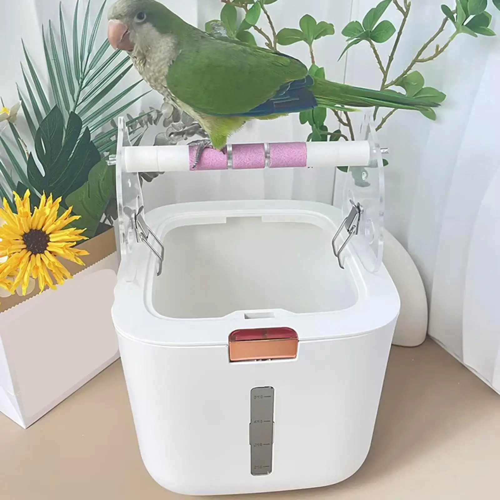 Bird Perch Stand for Parrots with Fixed Excretion Point and Beak Grinding Feature
Bird Perch Stand for Parrots with Fixed Excretion Point and Beak Grinding Feature