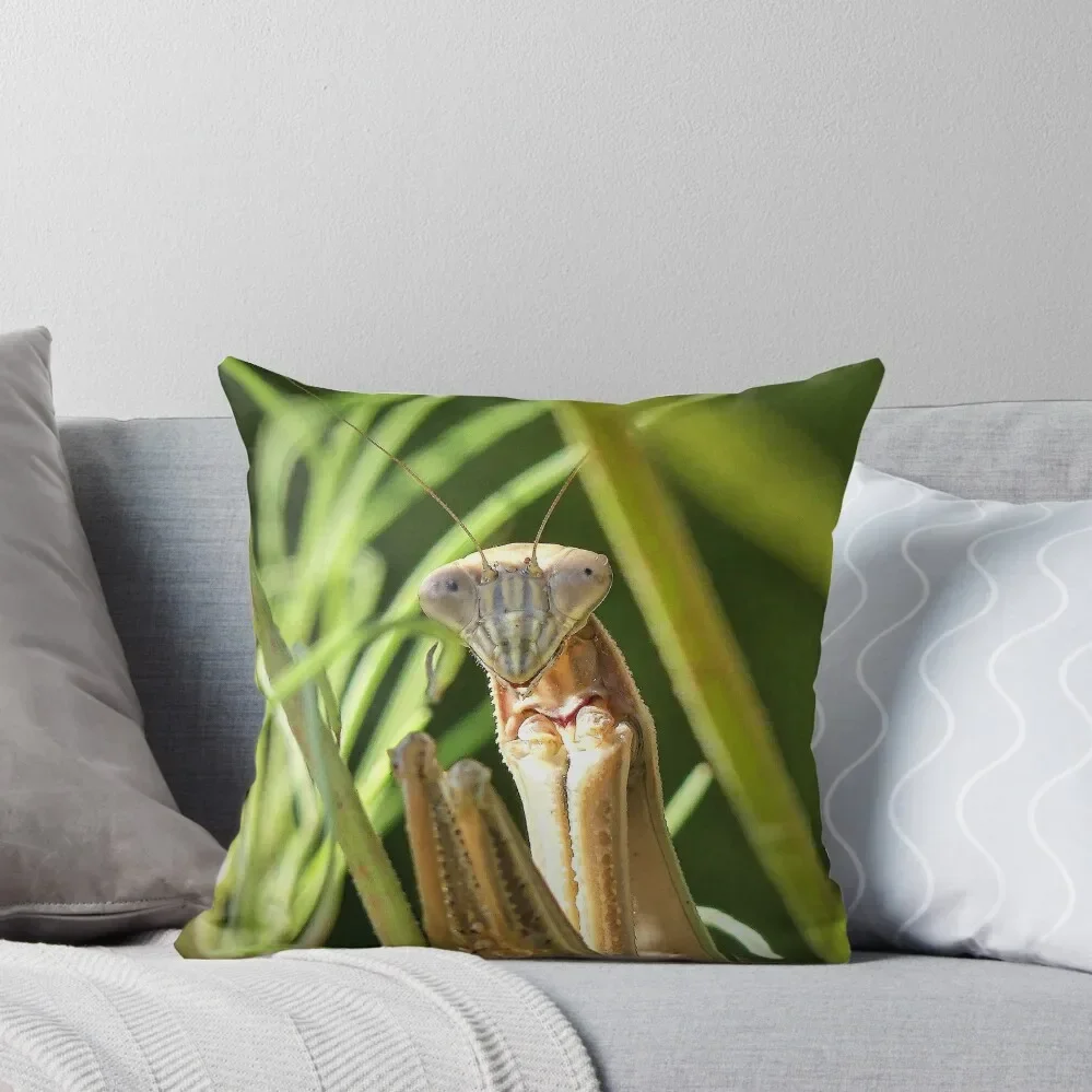 Praying Mantis Throw Pillow Pillow Cases Decorative Decorative Cushion Pillowcase pillow
Praying Mantis Throw Pillow Pillow Cases Decorative Decorative Cushion Pillowcase pillow