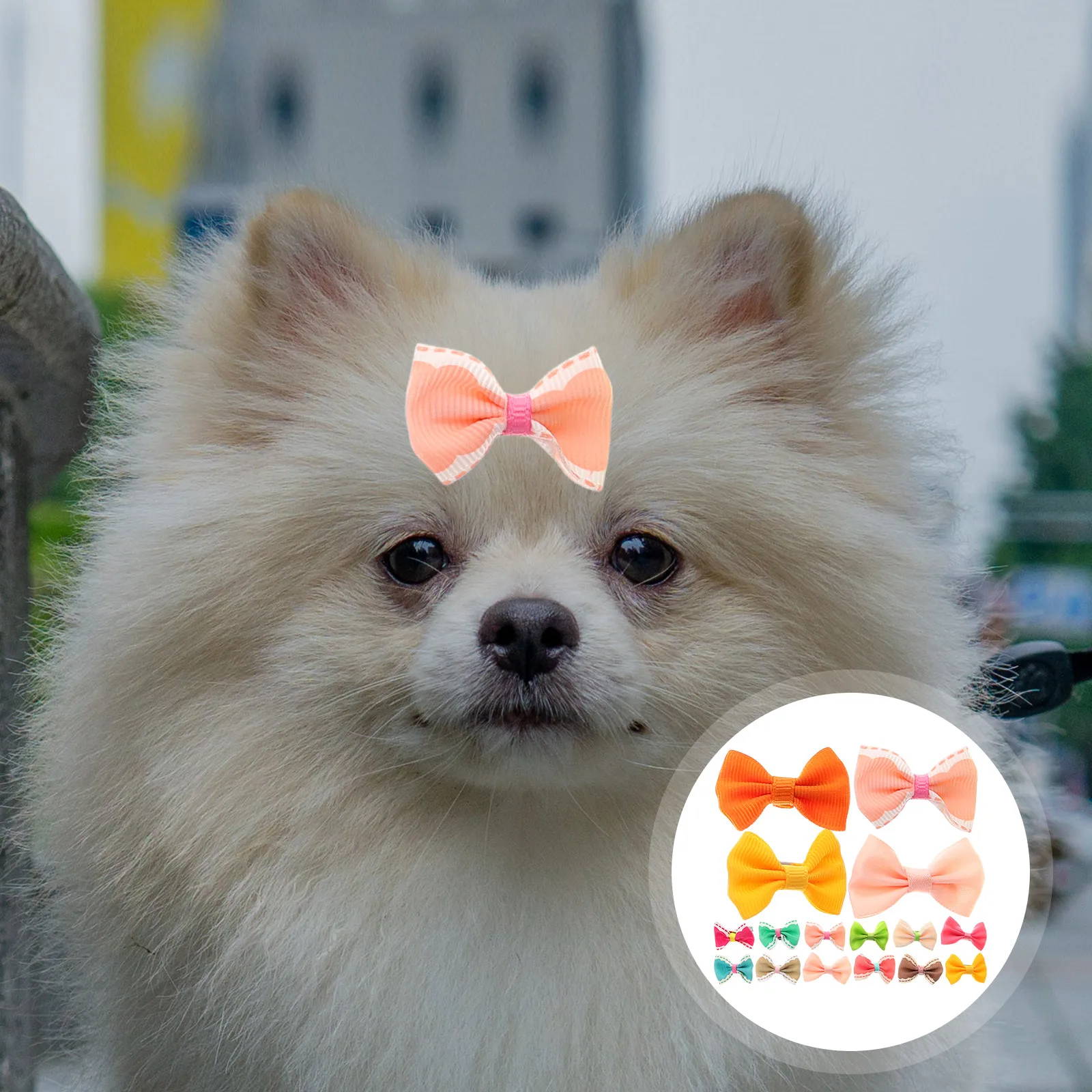 30 Pcs Dog Hair Accessories Clips for Pet Bow Girl Puppy Bows Cat Puppies Child Hairband
30 Pcs Dog Hair Accessories Clips for Pet Bow Girl Puppy Bows Cat Puppies Child Hairband