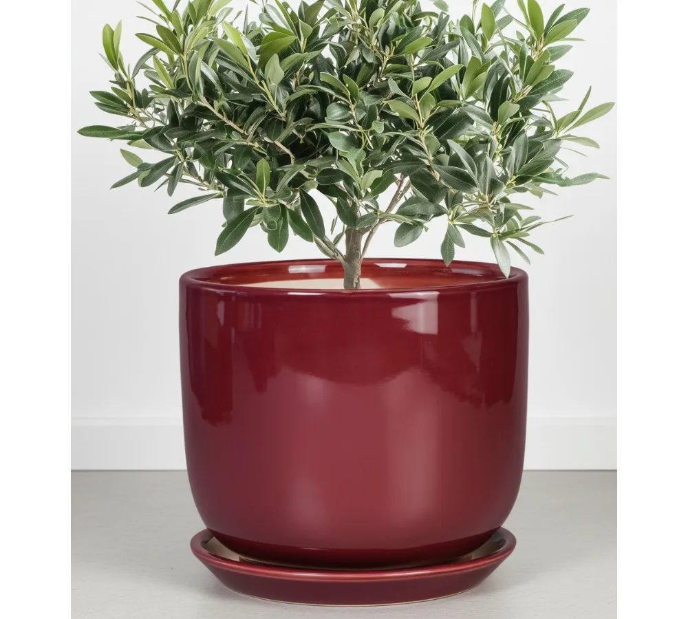 Modern Ceramic Flower Pot 8 Inch with Drainage Hole and Saucer, Indoor Outdoor Plant Container for Succulents Herbs Home Decor
Modern Ceramic Flower Pot 8 Inch with Drainage Hole and Saucer, Indoor Outdoor Plant Container for Succulents Herbs Home Decor