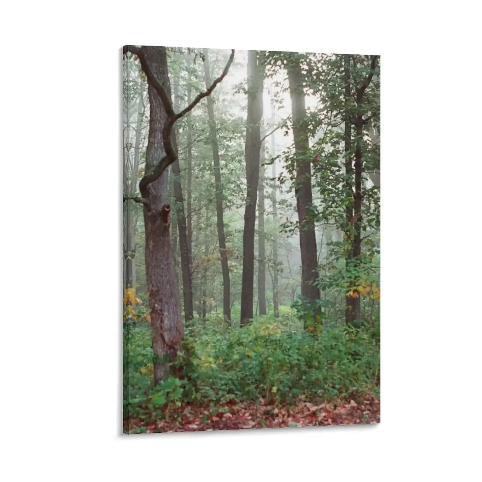 Misty Forest Canvas Painting home and decoration vintage home decor wallpapers home decor
Misty Forest Canvas Painting home and decoration vintage home decor wallpapers home decor