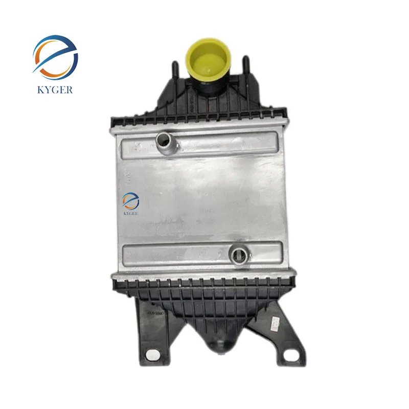 2025 Hot Sale LR062405 Auto Parts Intercooler for Land Rover Range Rover Vogue Sport Discovery 5
2025 Hot Sale LR062405 Auto Parts Intercooler for Land Rover Range Rover Vogue Sport Discovery 5