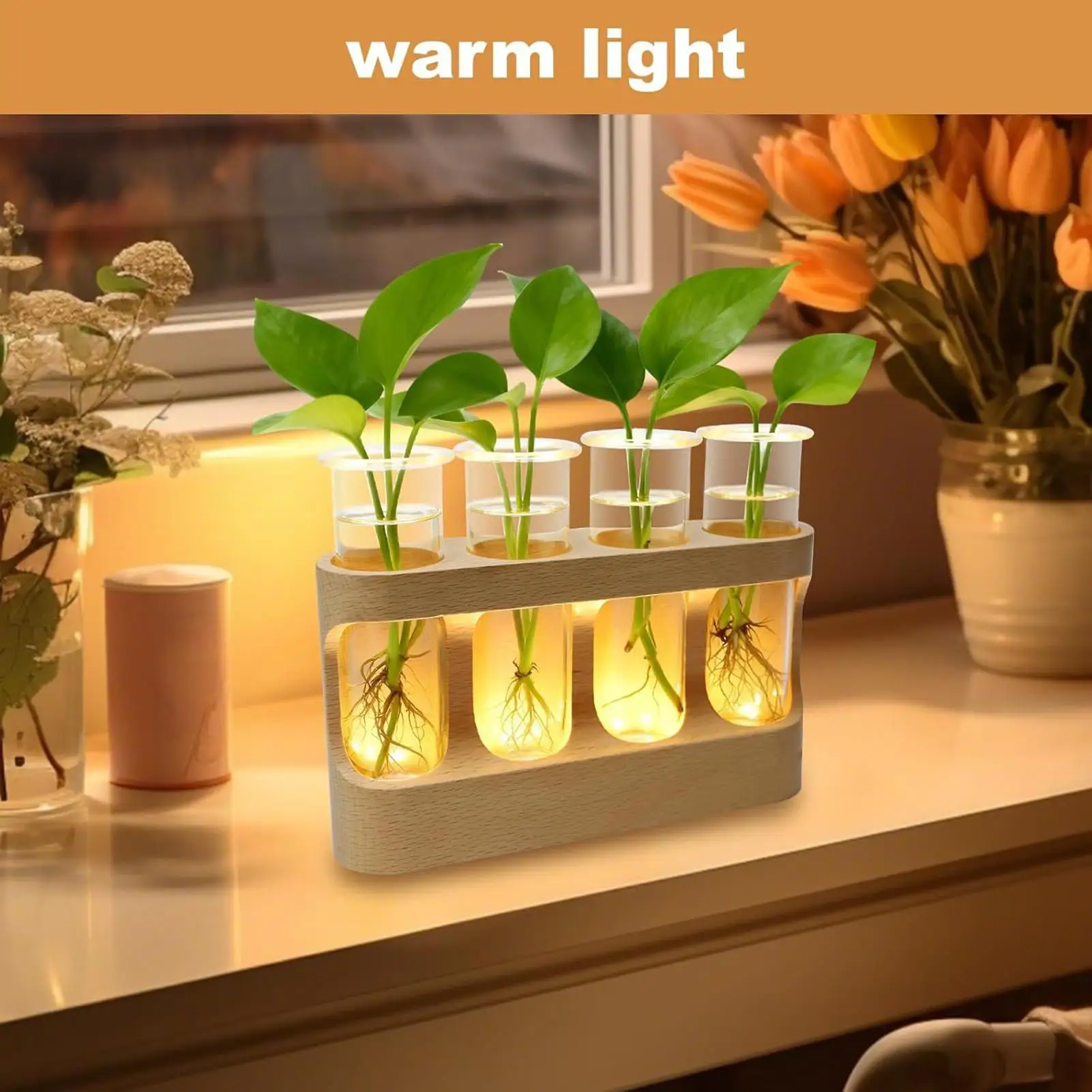 Propagation Vase Decorative Hydroponic Terrarium With LED Lights Glass Test Tubes For Hydroponic Plants For Men Women Youth
Propagation Vase Decorative Hydroponic Terrarium With LED Lights Glass Test Tubes For Hydroponic Plants For Men Women Youth