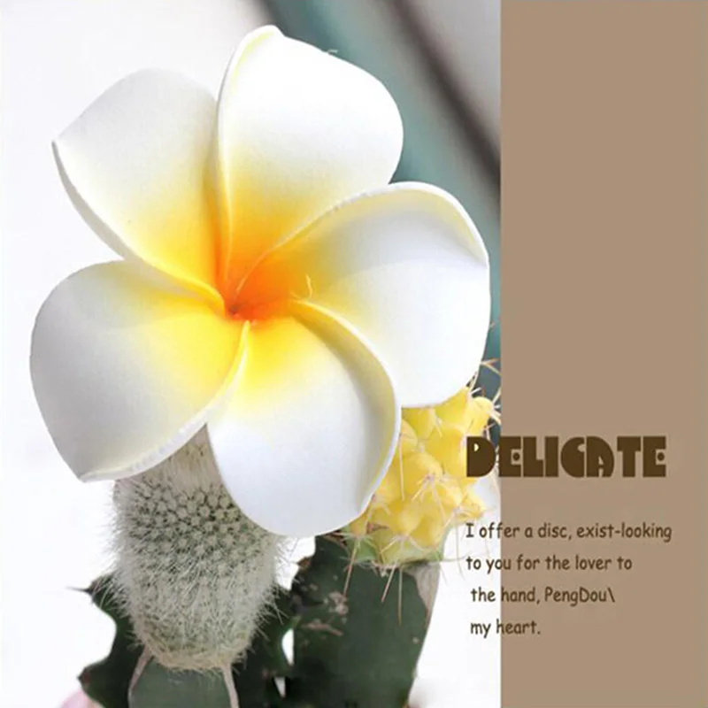 10 Pcs Hawaiian Flower Hair Clips Cute Frangipani Accessories Beach Party Prom Wedding Decorations for Women Girls
10 Pcs Hawaiian Flower Hair Clips Cute Frangipani Accessories Beach Party Prom Wedding Decorations for Women Girls