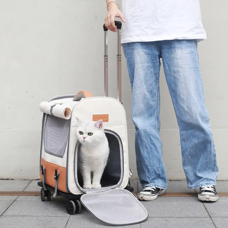 Cat and Dog Universal Cat Backpack Large Capacity Cat Transport Bag Multifunctional Cat Basket Breathable Pet Trolley
Cat and Dog Universal Cat Backpack Large Capacity Cat Transport Bag Multifunctional Cat Basket Breathable Pet Trolley