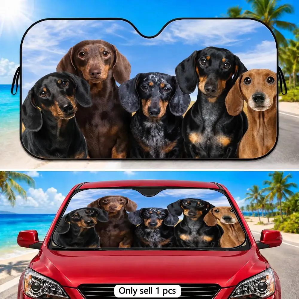 Puppy Family Sun Visor Aluminum Foil Windshield Sunshade with Reflective UV Block Heat Insulation Foldable Universal Fit
Puppy Family Sun Visor Aluminum Foil Windshield Sunshade with Reflective UV Block Heat Insulation Foldable Universal Fit