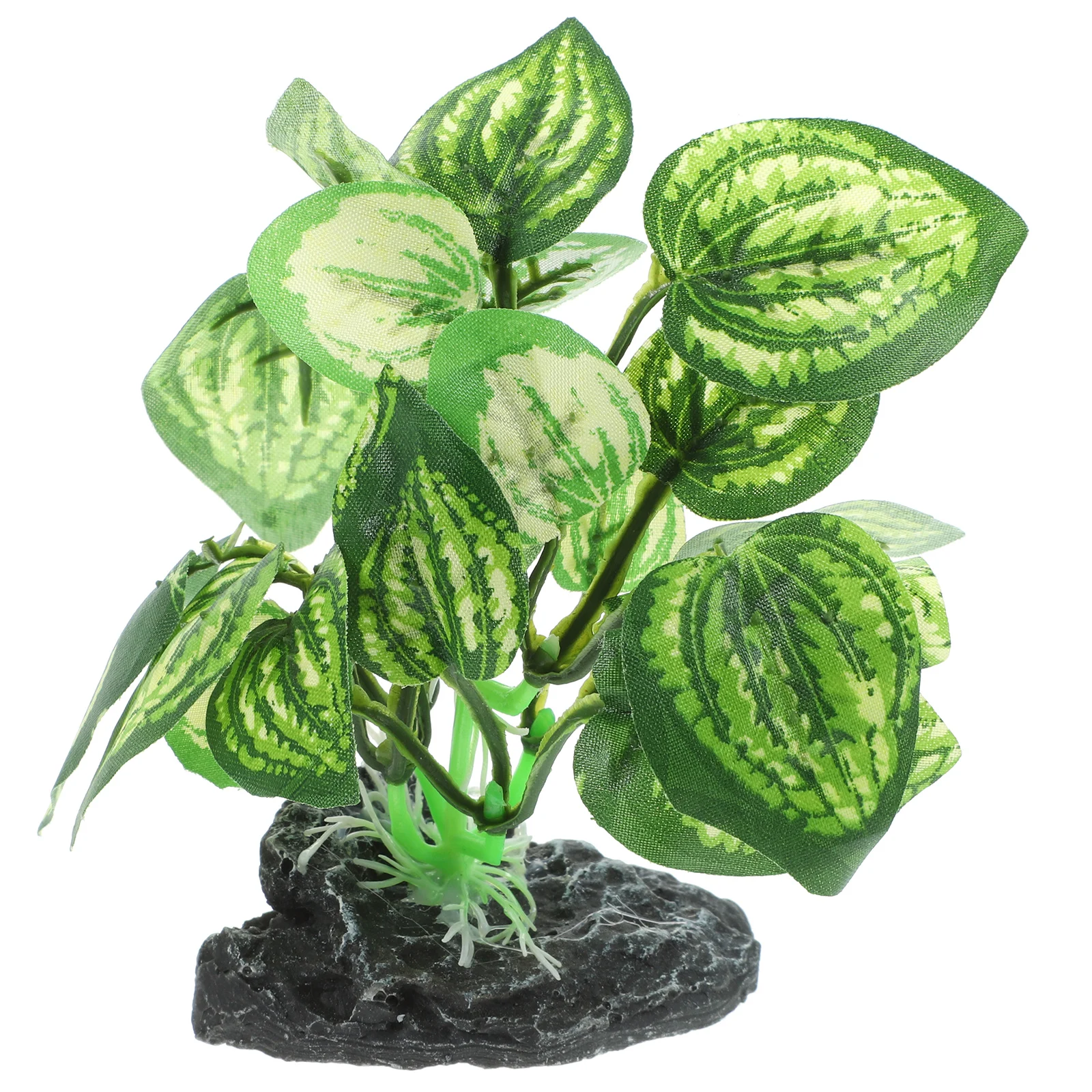 Artificial Plant Decoration for Fish Tank Aquarium Plants Plastic Fake Plant Ornament Suitable Salt Water Realistic
Artificial Plant Decoration for Fish Tank Aquarium Plants Plastic Fake Plant Ornament Suitable Salt Water Realistic