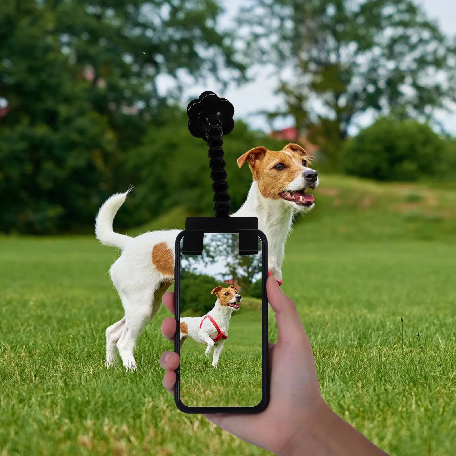 Pets Selfie Stick for Cats Dogs with Phone Clip Treat Holder Lightweight Portable Photography Tool Training Perfect Photo
Pets Selfie Stick for Cats Dogs with Phone Clip Treat Holder Lightweight Portable Photography Tool Training Perfect Photo