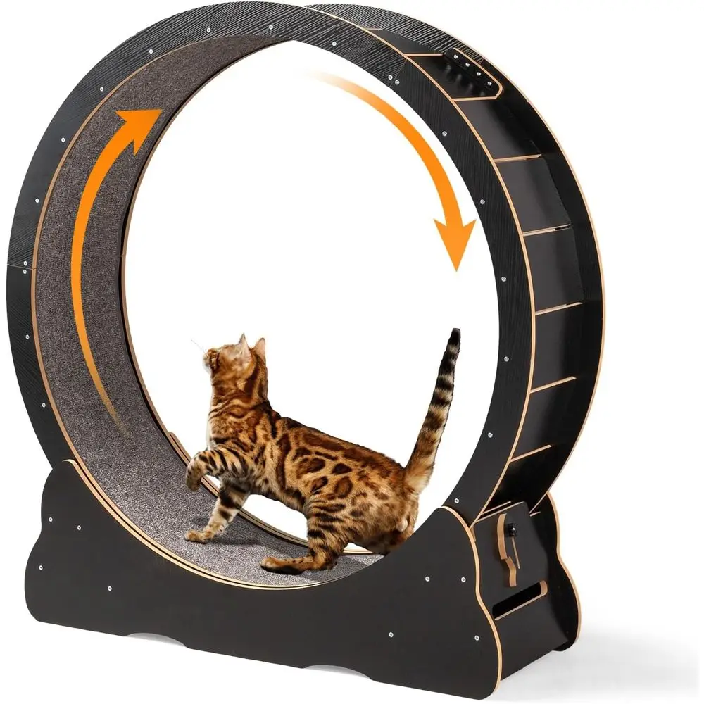 Большое бесшумное колесо для упражнений для кошек в помещении, диаметр 39,4, предохранительный замок в комплекте, черный
Большое бесшумное колесо для упражнений для кошек в помещении, диаметр 39,4, предохранительный замок в комплекте, черный