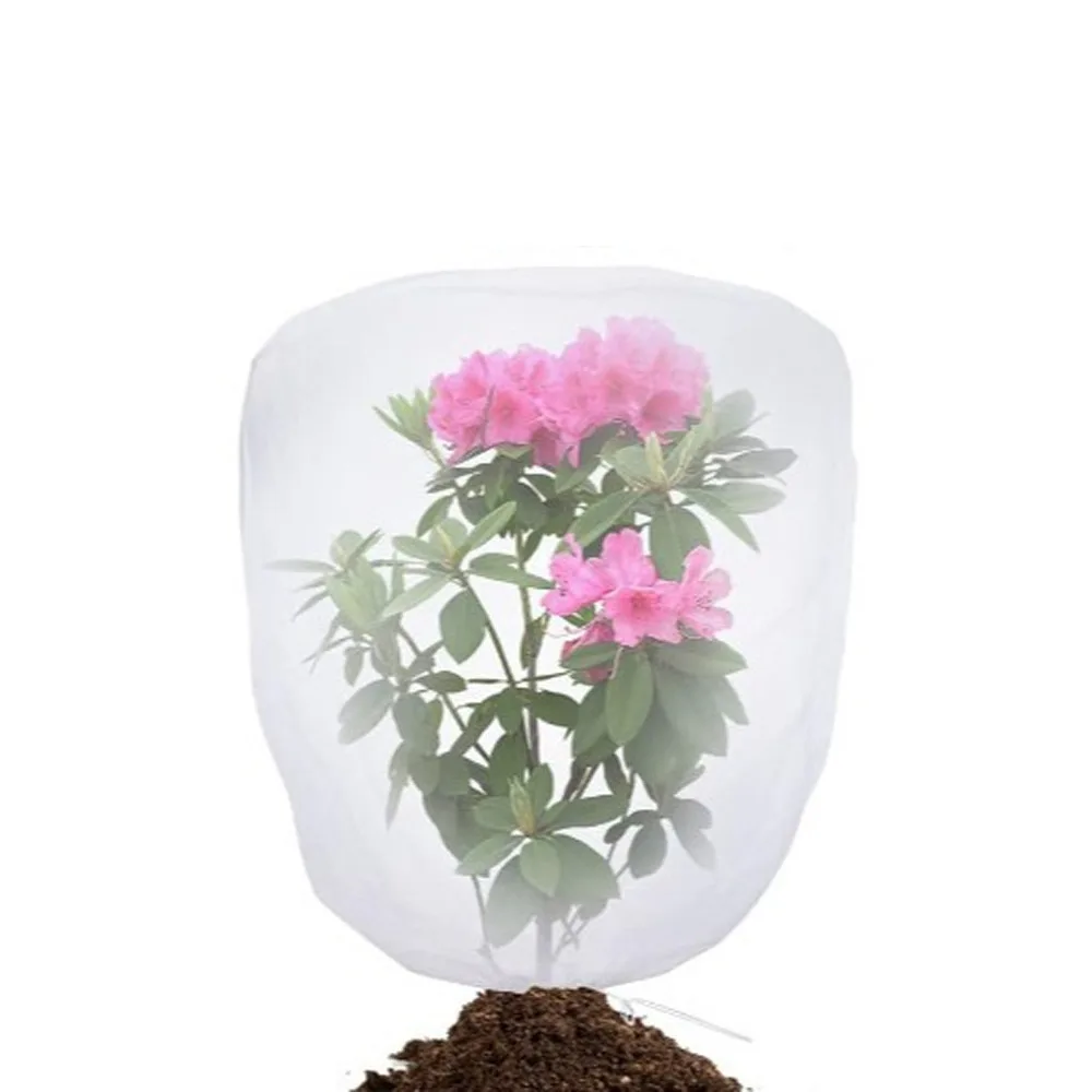 2pcs Breathable Plant Insect Protection Net Anti-Bird Large Vegetable Cover Mesh Thickened Drawstring Plant Cover Bags
2pcs Breathable Plant Insect Protection Net Anti-Bird Large Vegetable Cover Mesh Thickened Drawstring Plant Cover Bags