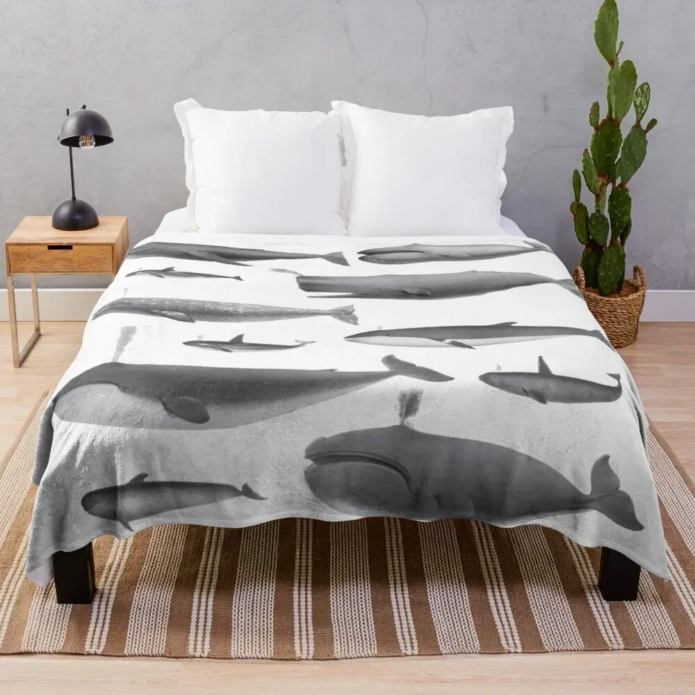 3d Printed Blanket Soft Cozy Luxury Bed Blanket Microfiber Fleece Blanket for Livingroom Bedroom Office Bed Sofa Cover
3d Printed Blanket Soft Cozy Luxury Bed Blanket Microfiber Fleece Blanket for Livingroom Bedroom Office Bed Sofa Cover