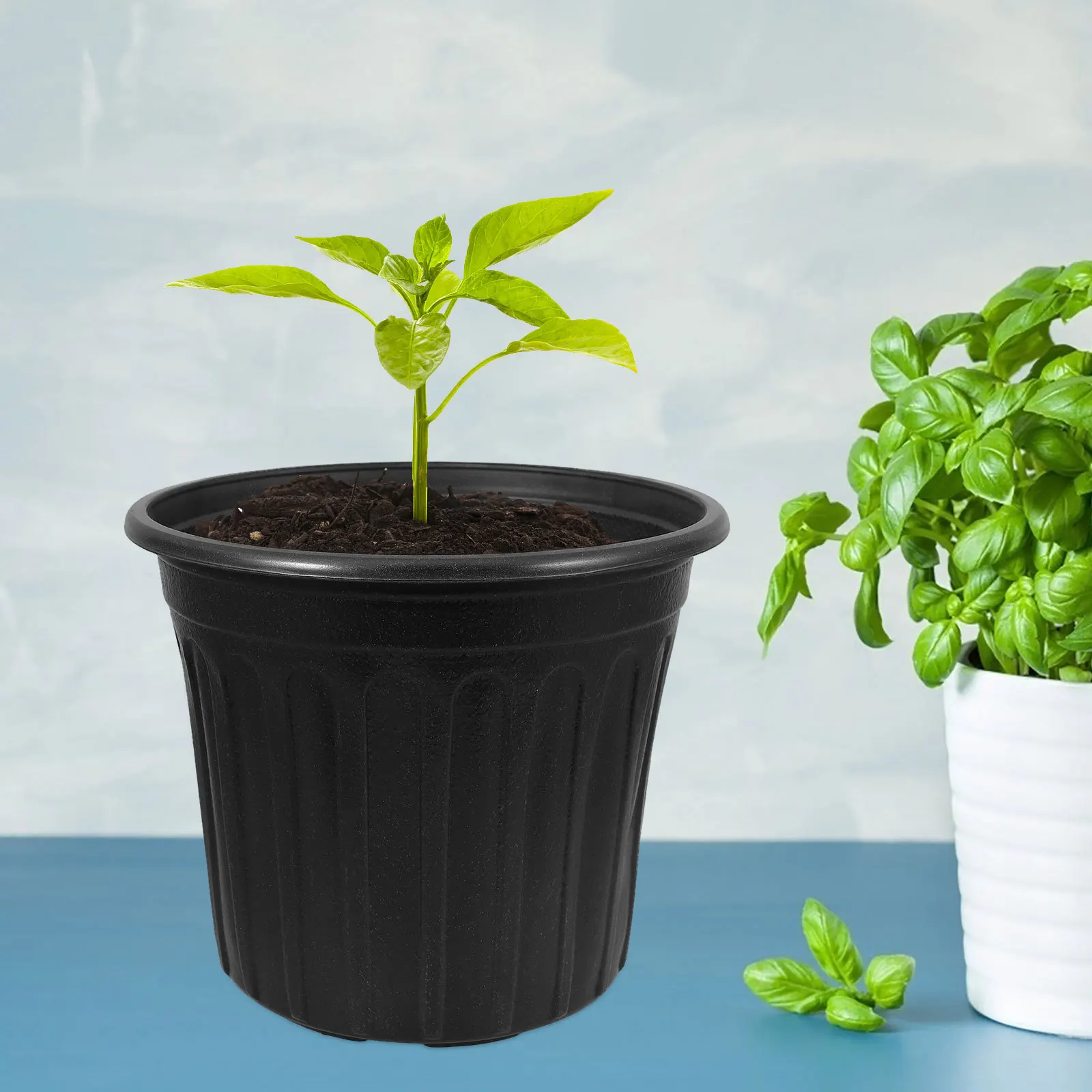 6pcs Black Plastic Nursery Pots With Holes For Plants Thickened Flower Planting Trays Garden Indoor Outdoor Planter Containers
6pcs Black Plastic Nursery Pots With Holes For Plants Thickened Flower Planting Trays Garden Indoor Outdoor Planter Containers